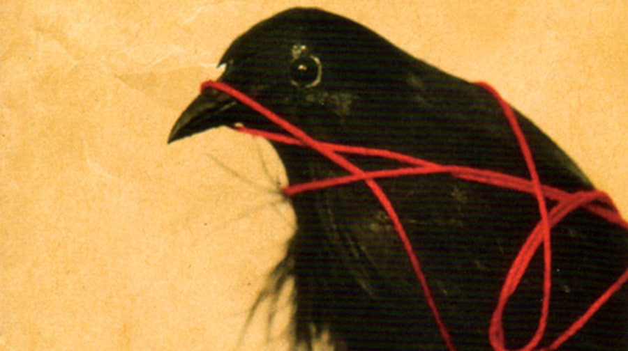 Death Cab for Cutie, 'Transatlanticism'