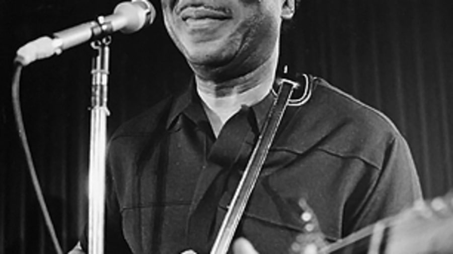 Muddy Waters
