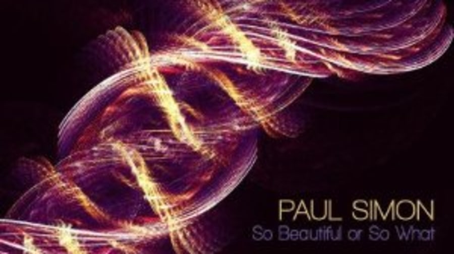 Paul Simon, 'So Beautiful or So What'