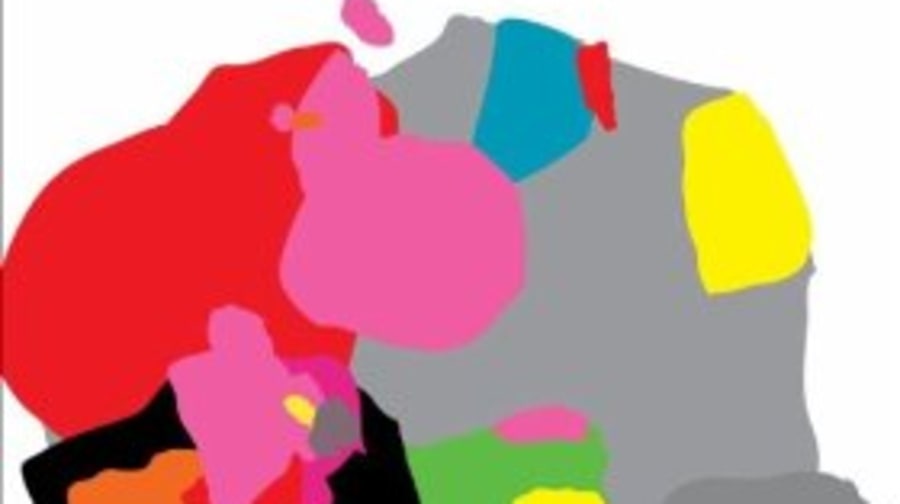Wild Flag, 'Wild Flag'