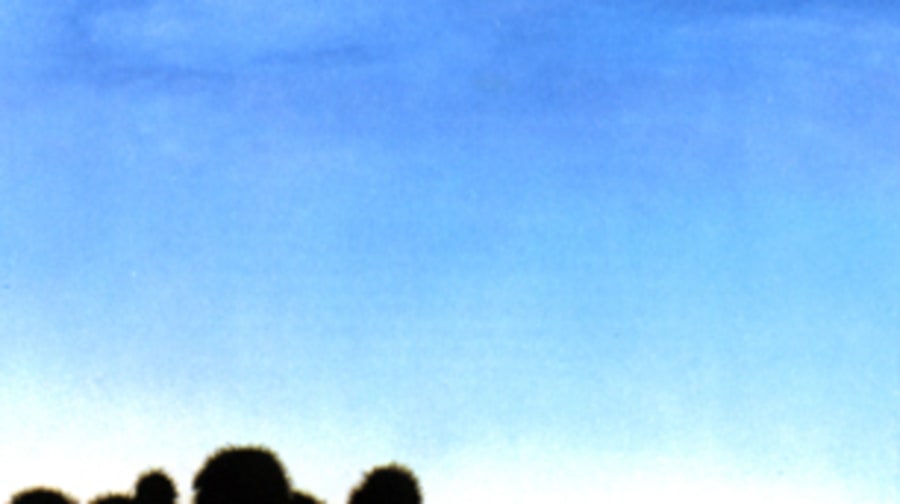 The Eagles, 'The Eagles'