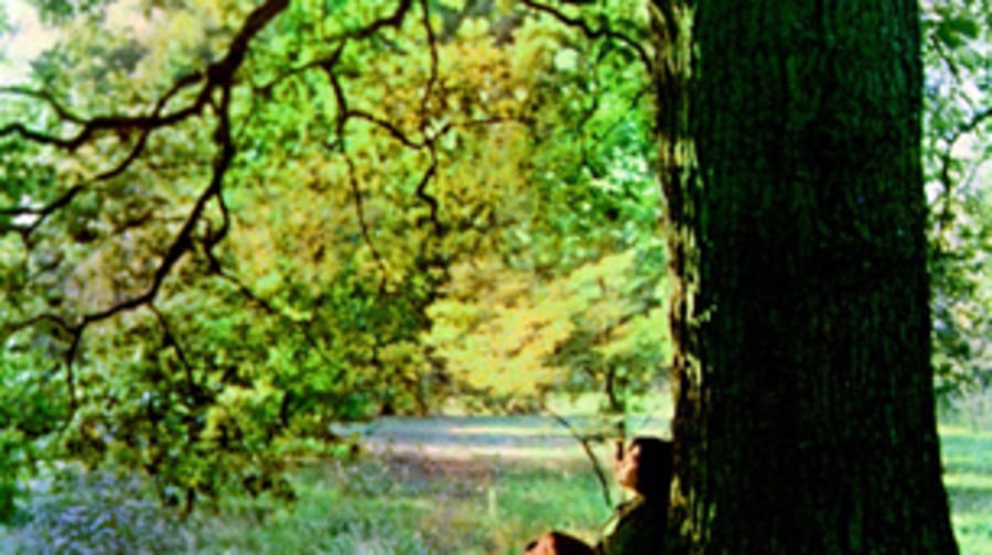 John Lennon, 'Plastic Ono Band'
