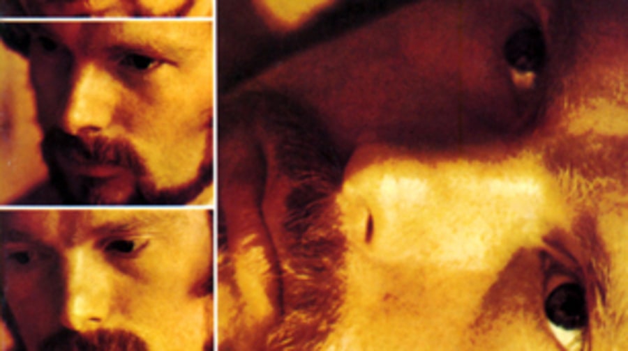 Van Morrison, 'Moondance'