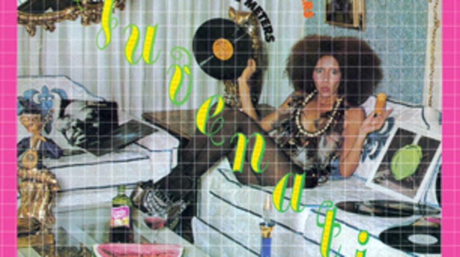 The Meters, 'Rejuvenation'