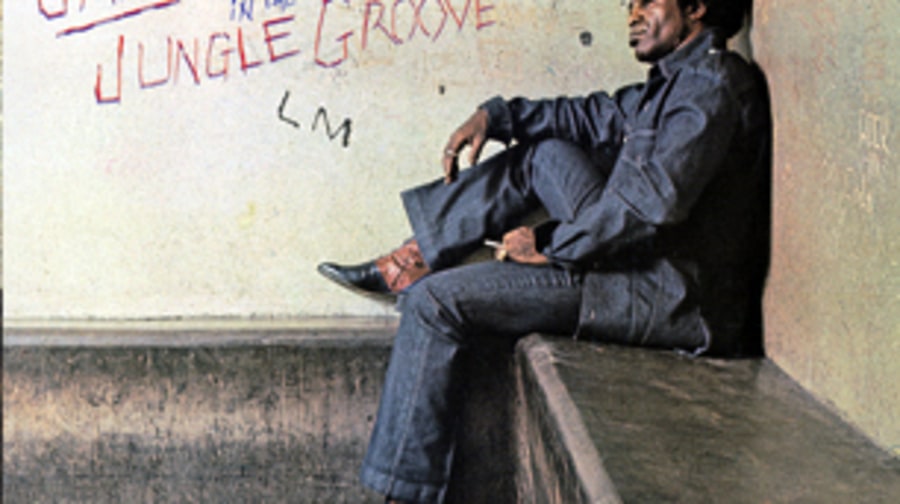 James Brown, 'In the Jungle Groove'
