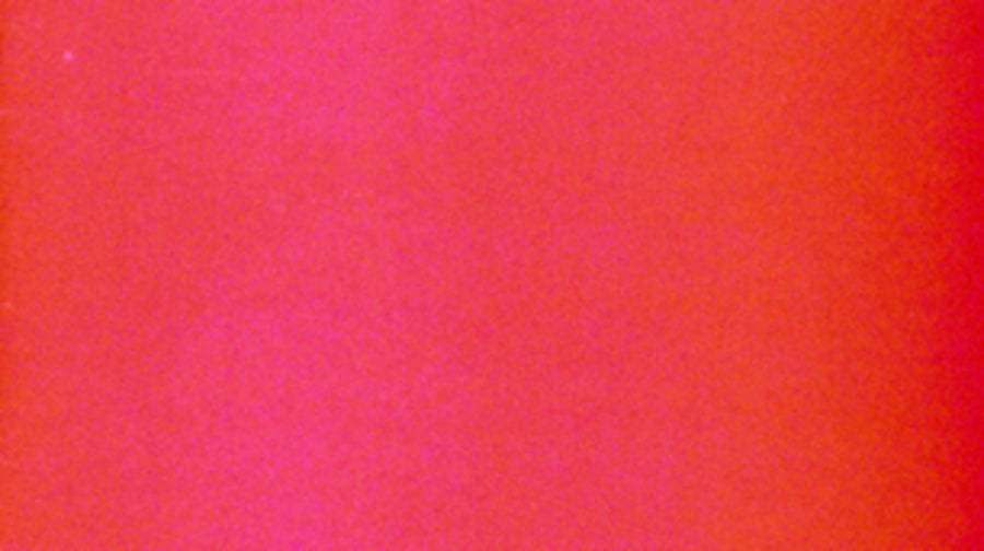 Talking Heads, 'Talking Heads: 77'