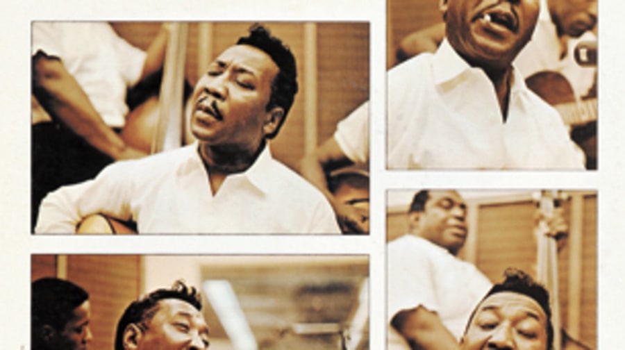 Muddy Waters, 'Folk Singer'