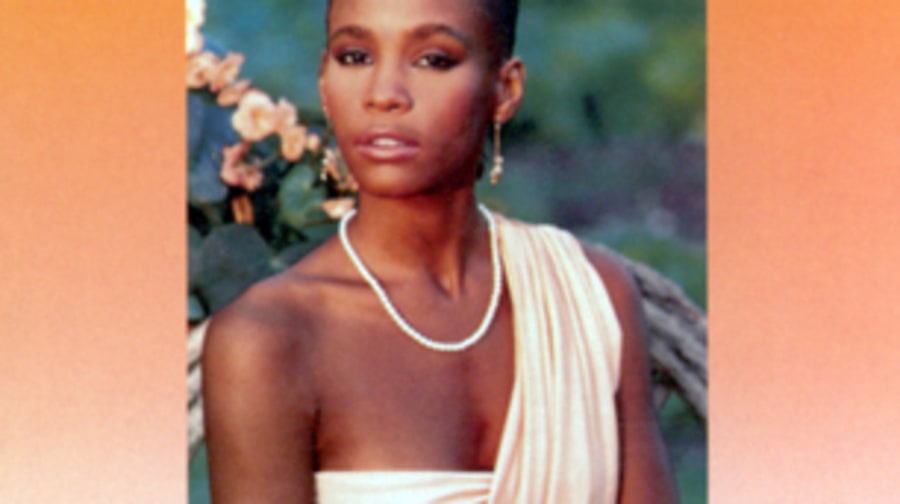 Whitney Houston, 'Whitney Houston'