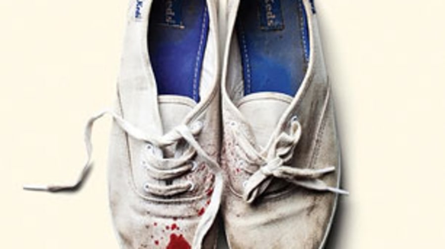 Sleigh Bells, 'Reign of Terror'