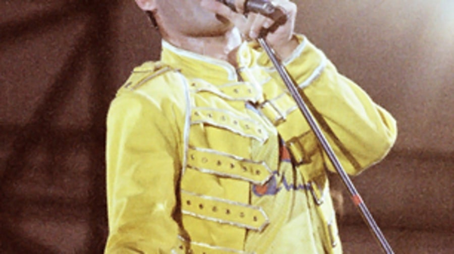 Cirolana mercuryi (Freddie Mercury, East African isopod)
