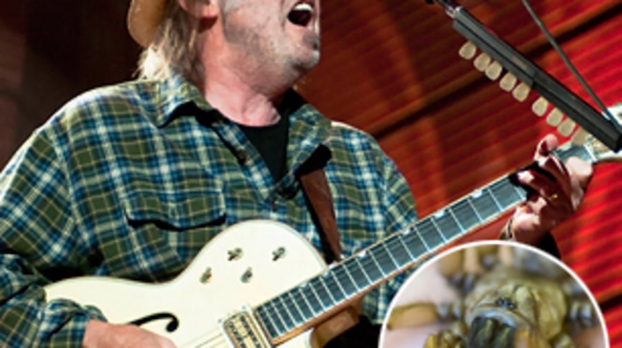 Myrmekiaphila neilyoungi (Neil Young, trapdoor spider)