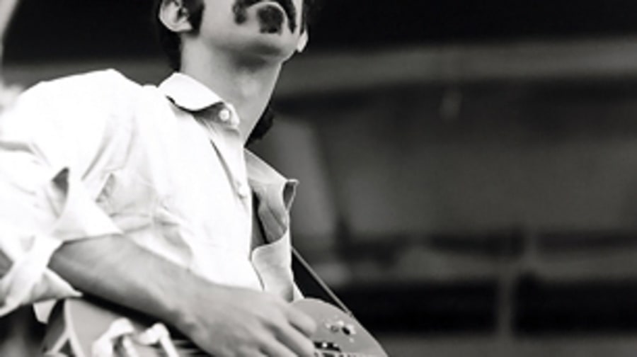 Pachygnatha zappa (Frank Zappa, spider)