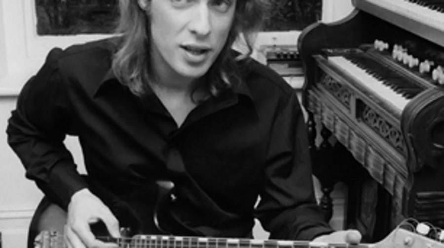 Pseudocorinna brianeno (Brian Eno, Afrotropical spider)