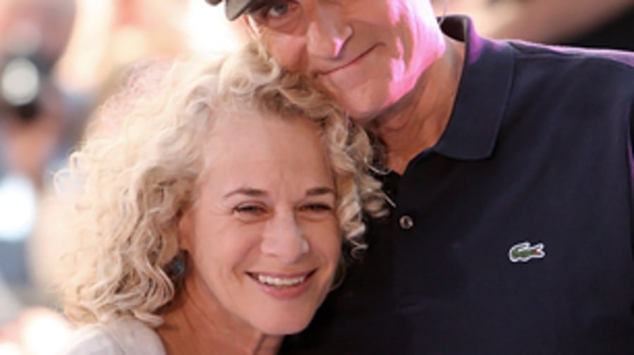 Anacroneuria taylori and Anacroneuria carole (James Taylor and Carole King, insects)