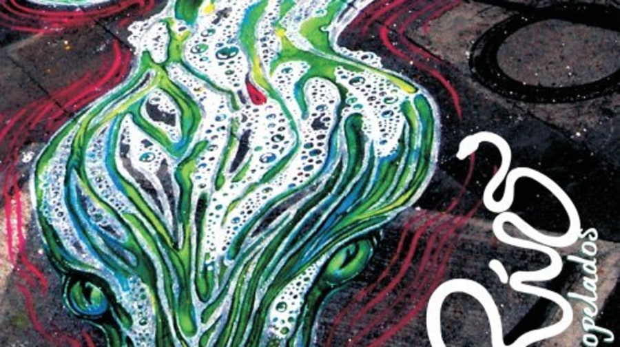 Aterciopelados, 'Rio' (2008)