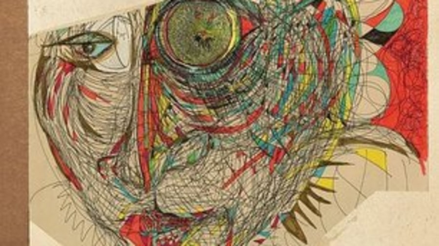 Fiona Apple, 'The Idler Wheel Is Wiser . . .'