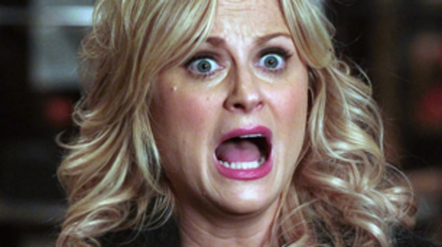 Amy Poehler
