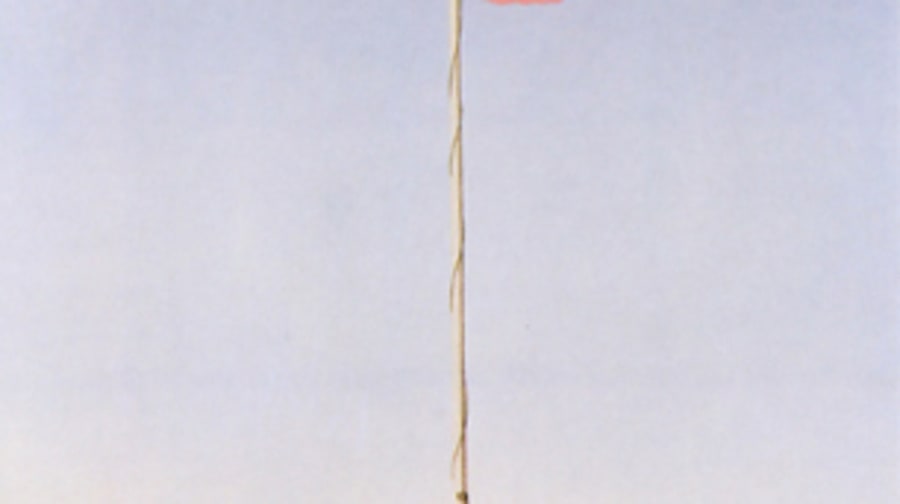 'Pink Flag'