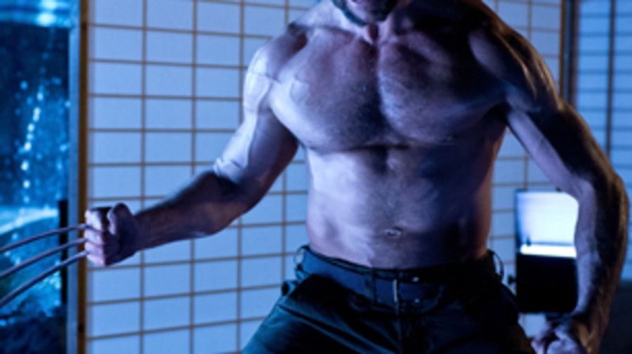 The Wolverine