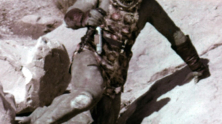 The Gorn