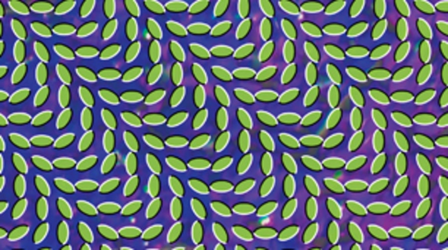Animal Collective, 'Merriweather Post Pavillion'
