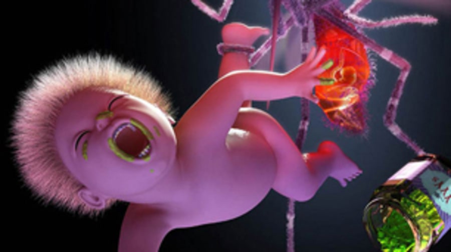 Yeah Yeah Yeahs, 'Mosquito'