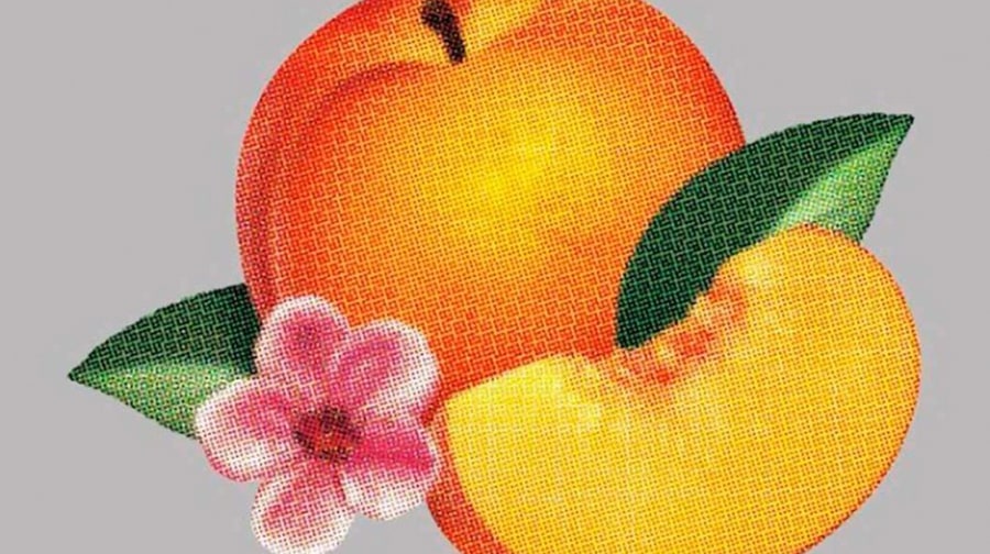 Phoenix, 'Bankrupt!'