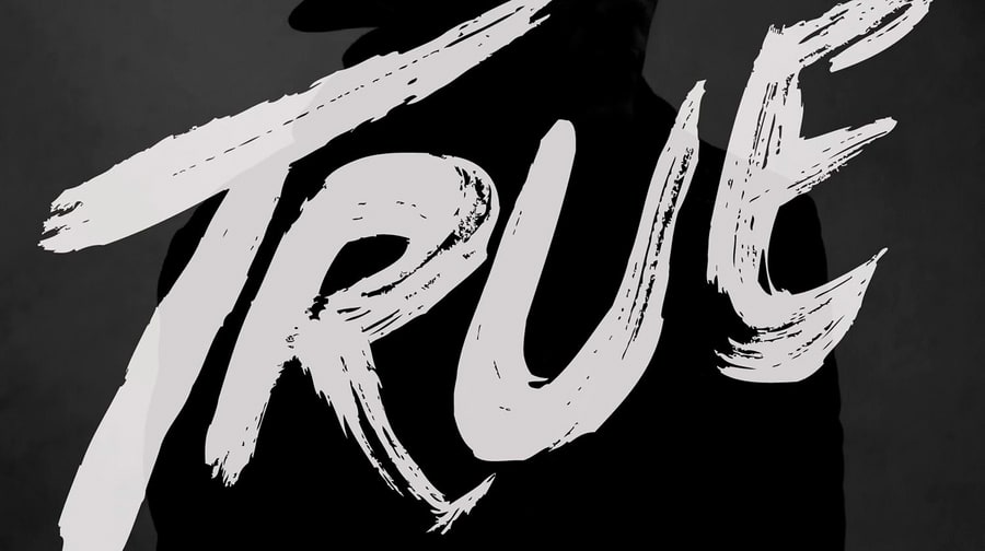 Avicii, 'True'