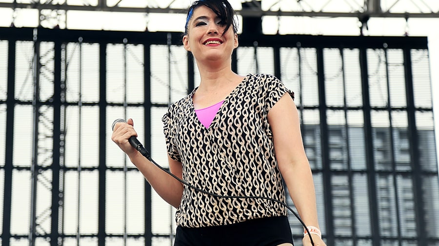 The Julie Ruin,
