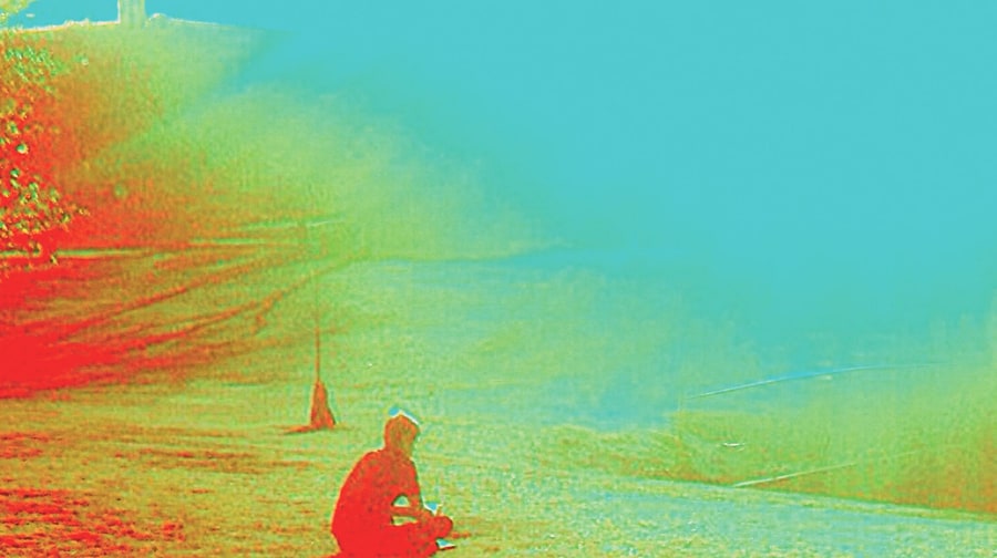 The Flaming Lips, 'The Terror'