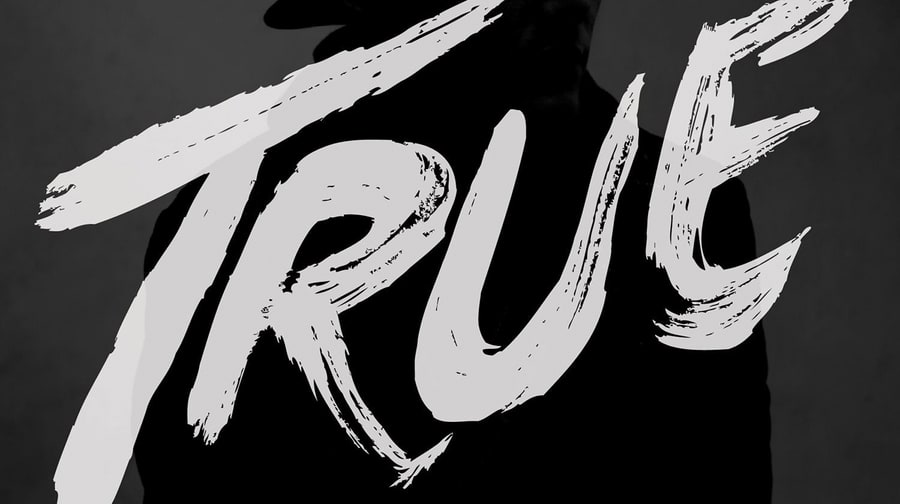 Avicii, 'True'