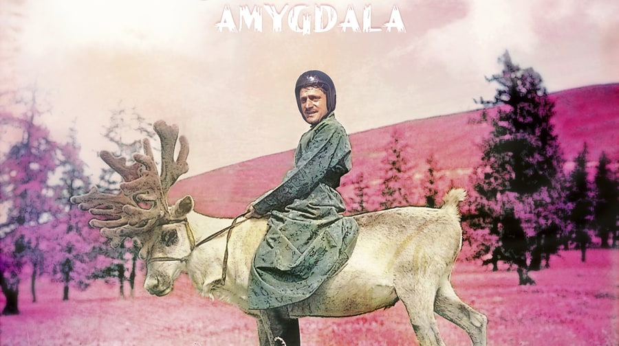 DJ Koze, 'Amygdala'