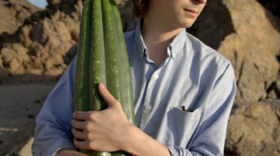 'Crystal Fairy & the Magical Cactus and 2012'