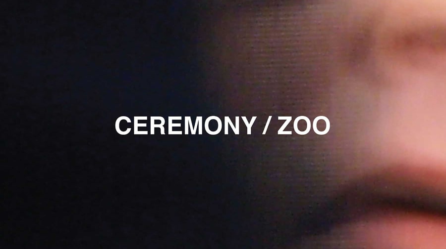 Ceremony, 'Zoo'