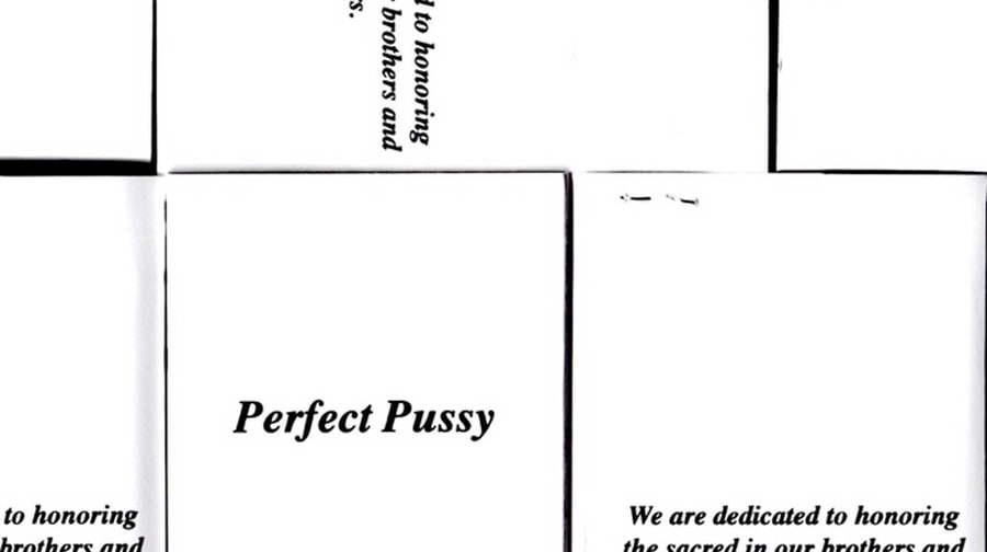 Perfect Pussy, 'I Have Lost All Desire for Feeling'