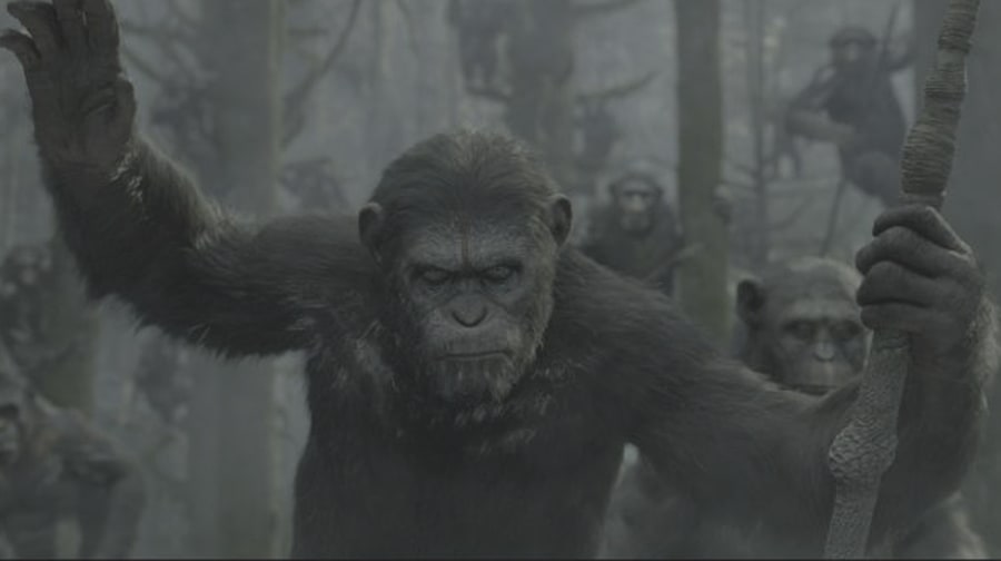 'Dawn of the Planet of the Apes' (July 11th)