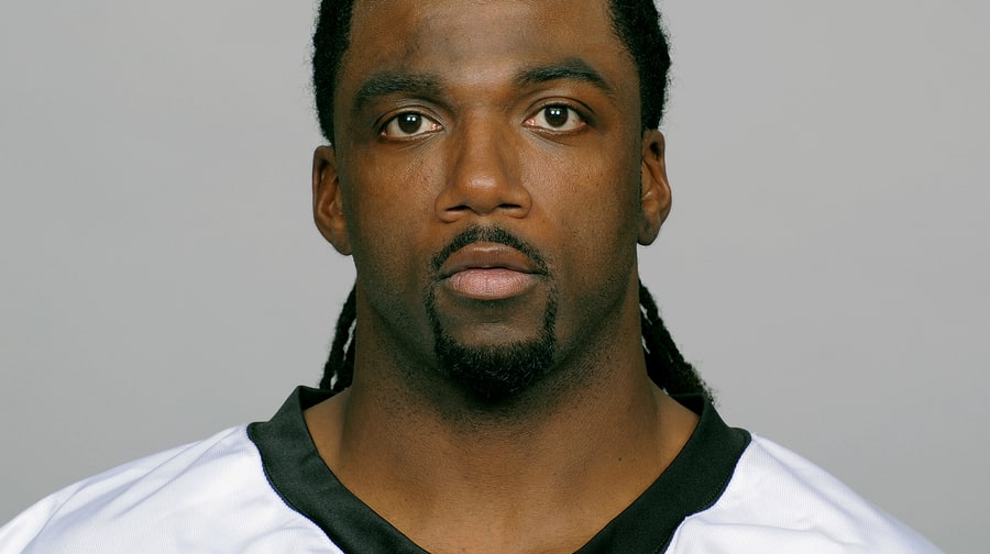 Donte Stallworth (Baltimore Ravens Wide Receiver)