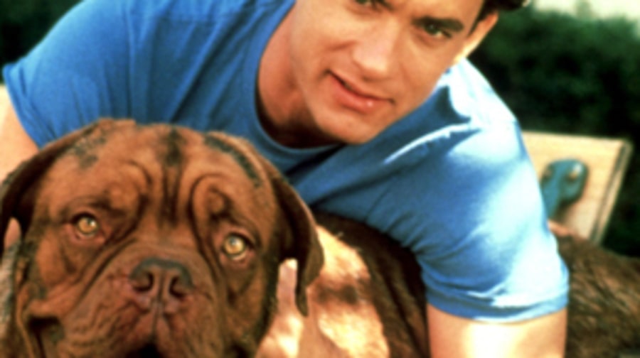 'Turner and Hooch' (1989)