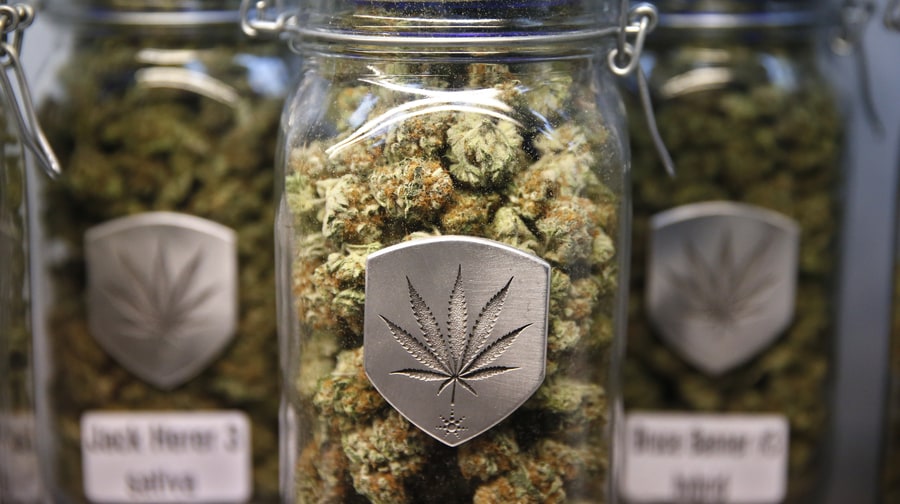 2015: The Year of 'Big Weed' and the Mainstreaming of Marijuana