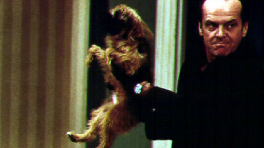 Stills From the Movie As Good As It Gets