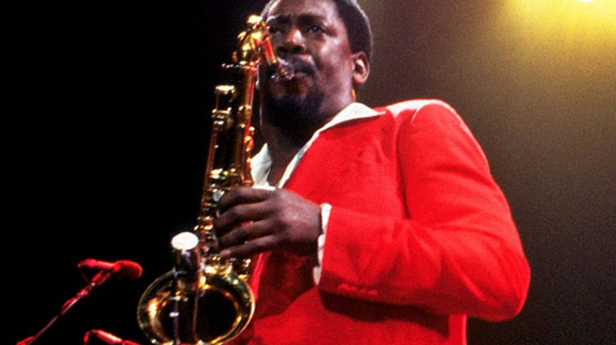 Clarence Clemons' Greatest Moments