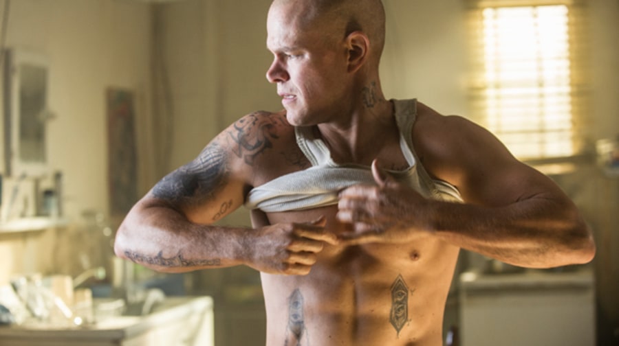 Matt Damon's Physical Evolution