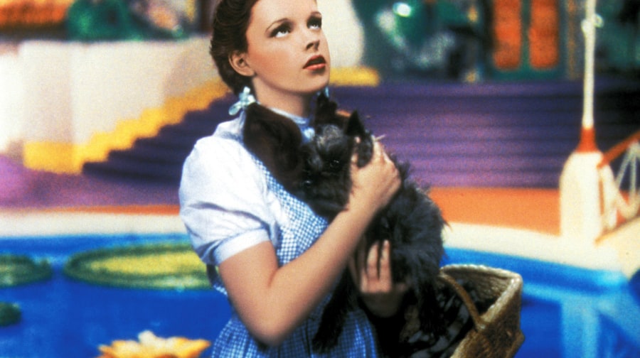 14 of the Best Movies From Hollywood's Most Miraculous Year