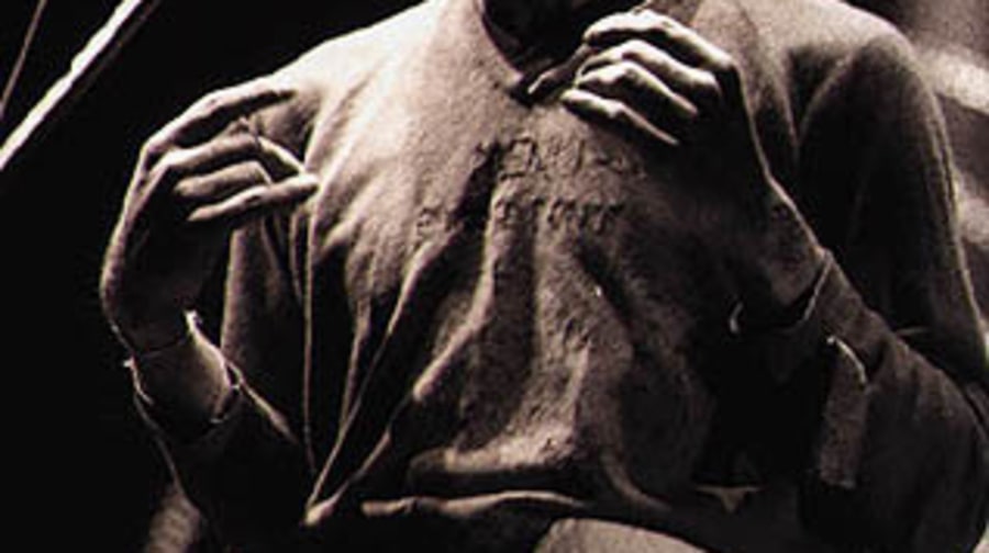 stipe
