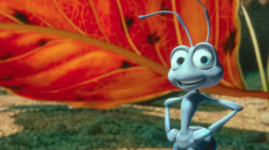 A Bug's Life
