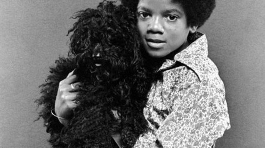Michael Jackson 50th Birthday: 1971 - with a dog