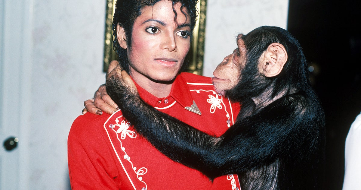 Monkeying Around Michael Jackson's Most Moments Us Weekly