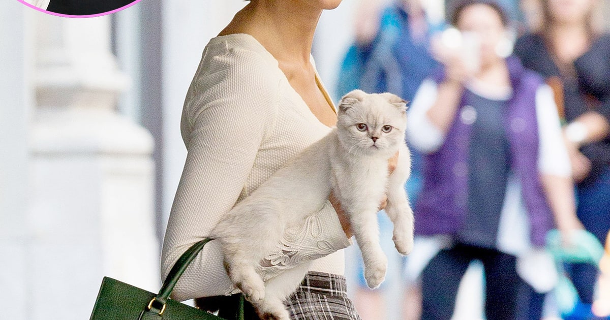 taylor swift cat meets mariska hargitay mariska hargitay talks taylor swift s cat olivia benson taylor swift cat meets mariska hargitay mariska hargitay talks taylor swift s cat olivia benson