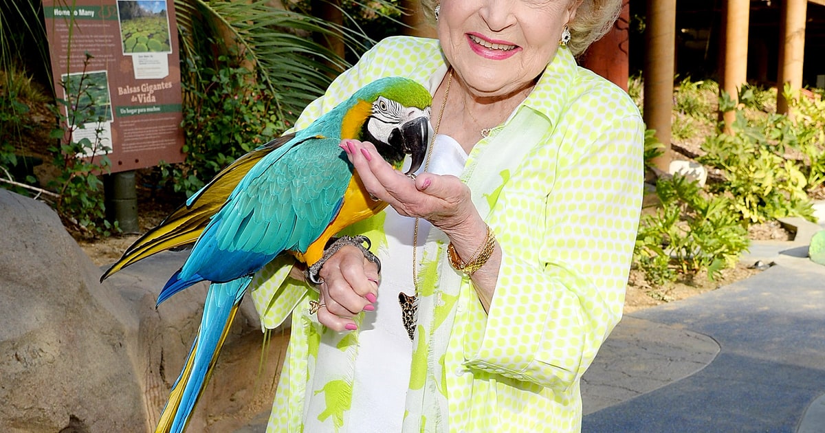 Animal Lover Betty White's Best Moments Us Weekly