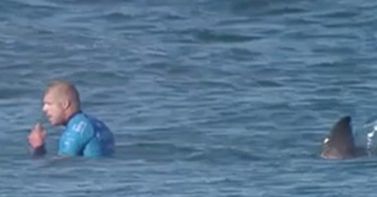 Surfer Mick Fanning Attacked by Sharks During Live Broadcast Video